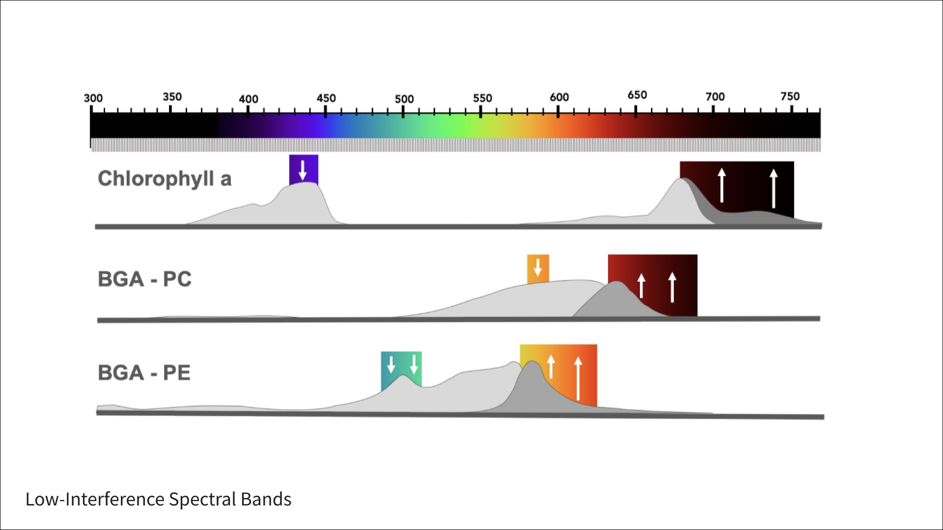 Low-Interference Spectral Bands
