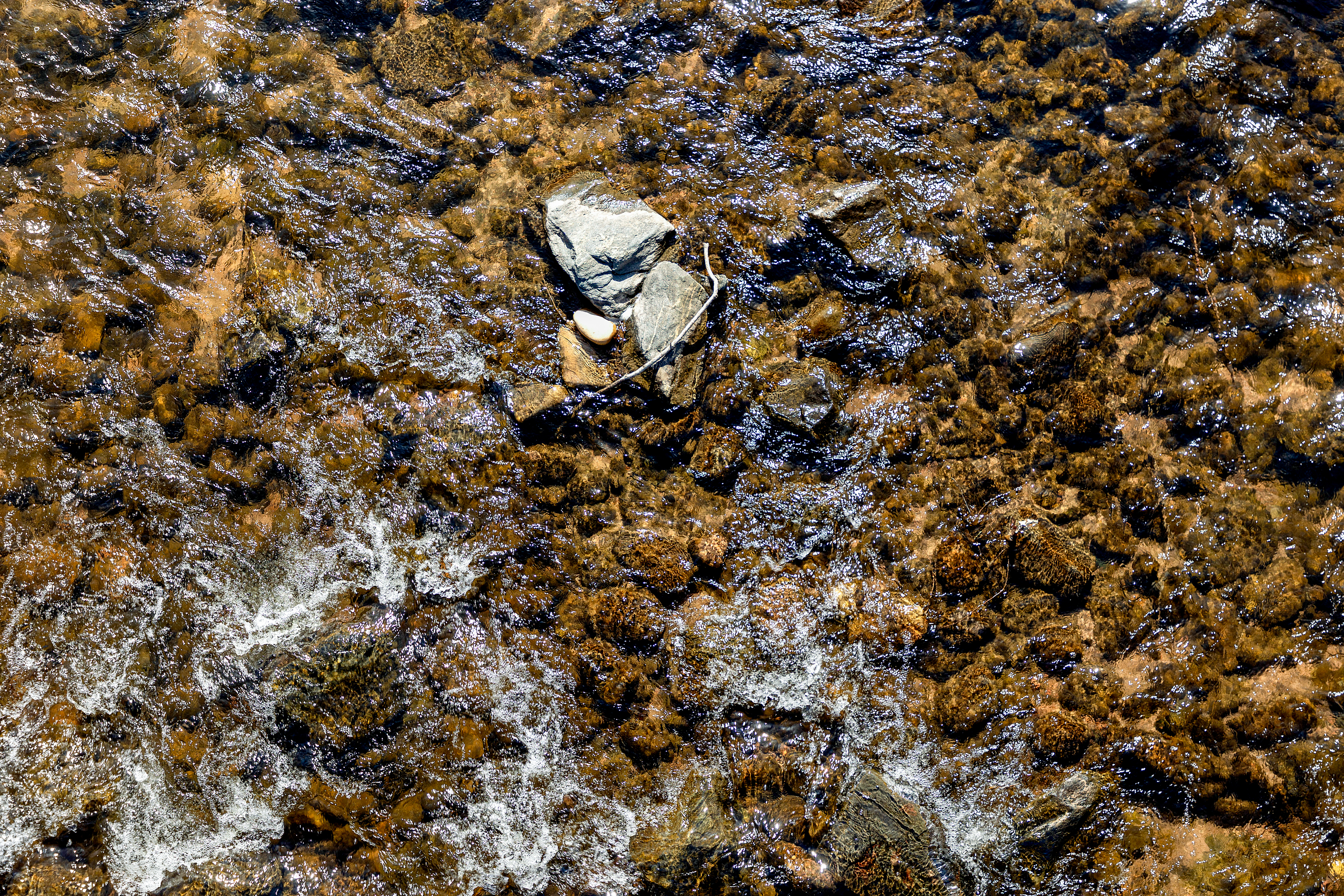 A rock bed under water