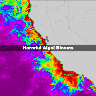 NOAA satellite image of BGA