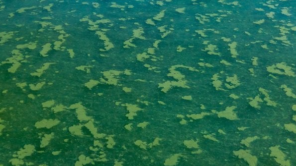 Photo of BGA up close