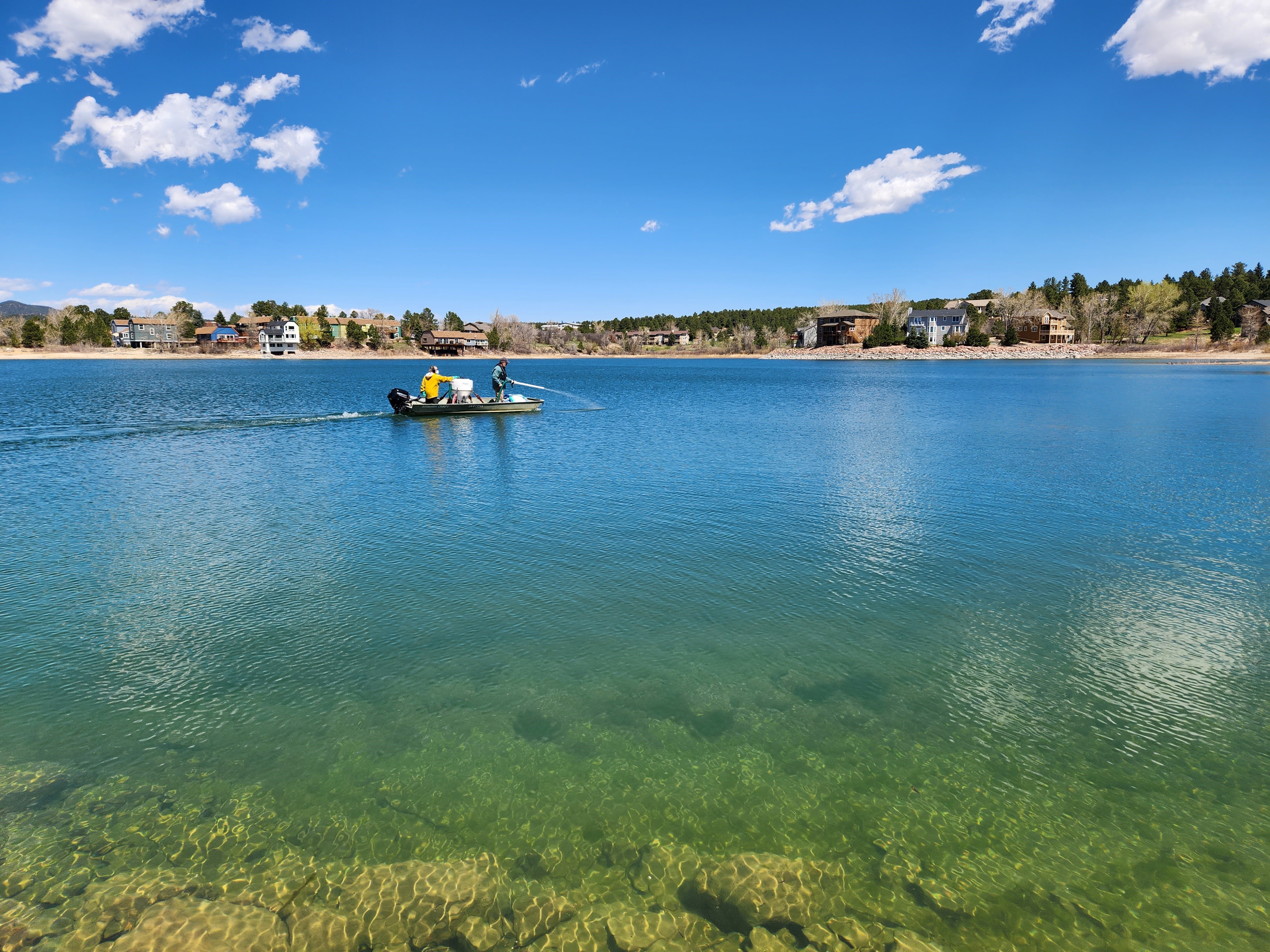 Skibo博士处理水库水以减轻沉积物中的磷释放