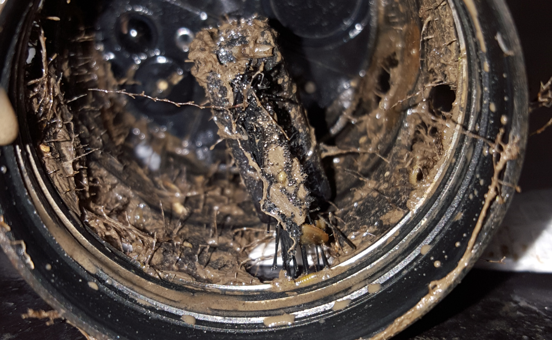 A dirty sensor with a bunch of dirt and debre on it.