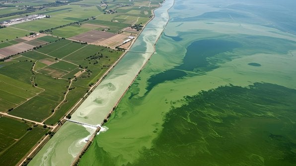 Aerial view of farmland runoff feeding BGA bloom