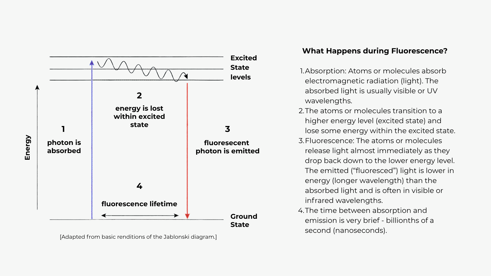 Diagram of what happens during Fluorescense