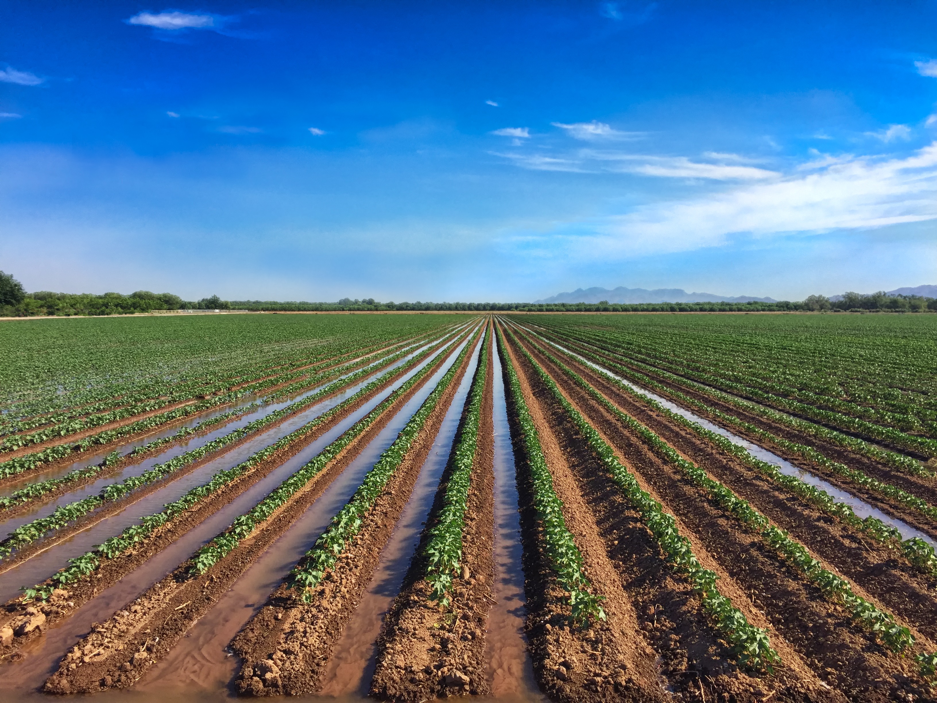 Agriculture irrigation