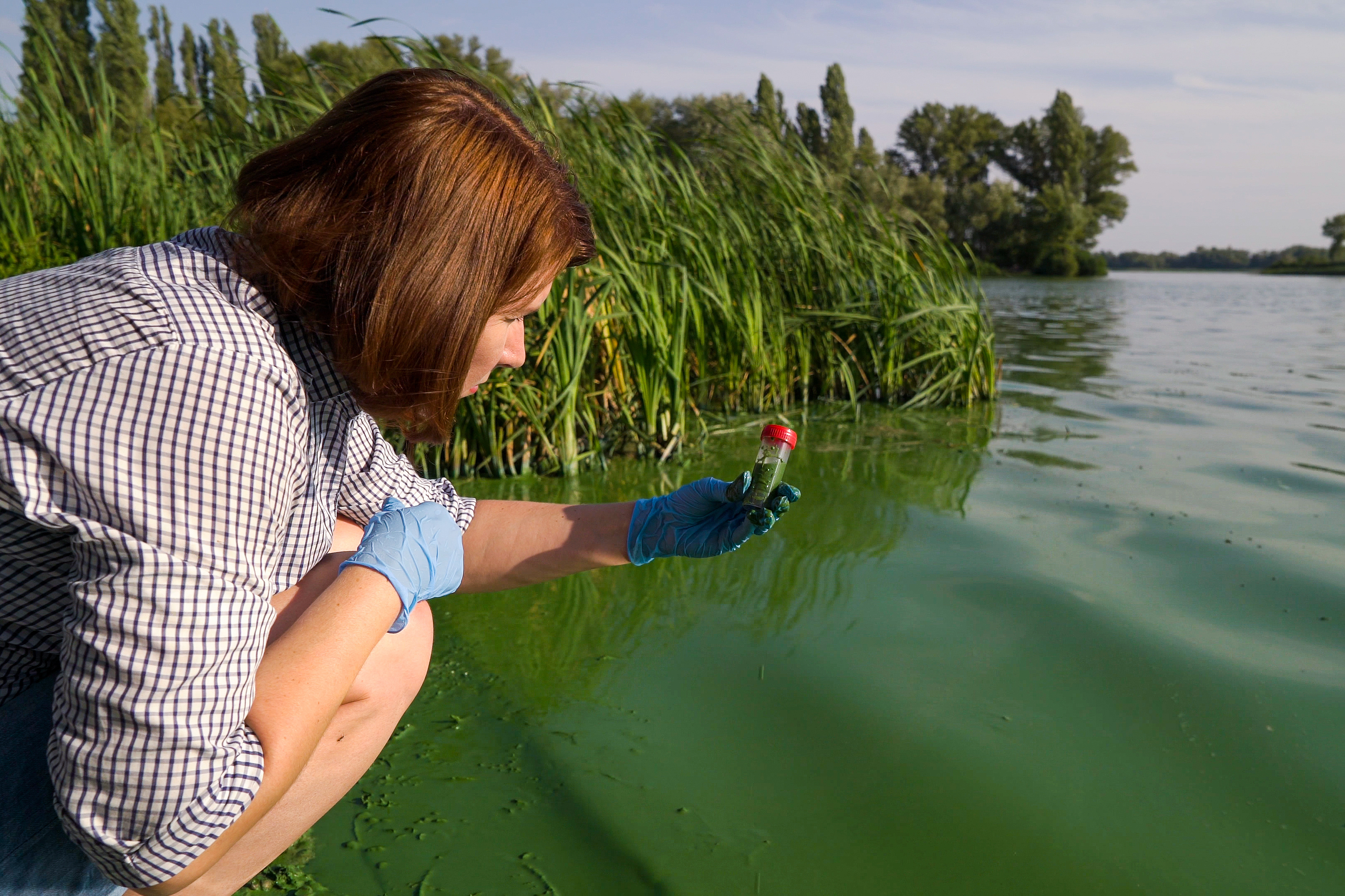 Woman looking at vial of water next to lake